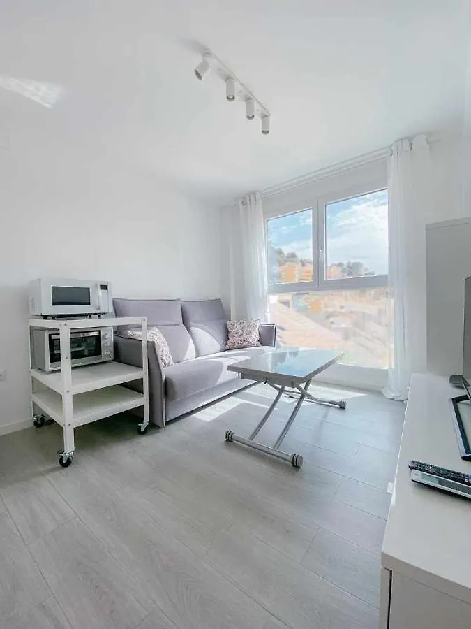 Apartment 1 Room Pedregalejo Malaga
